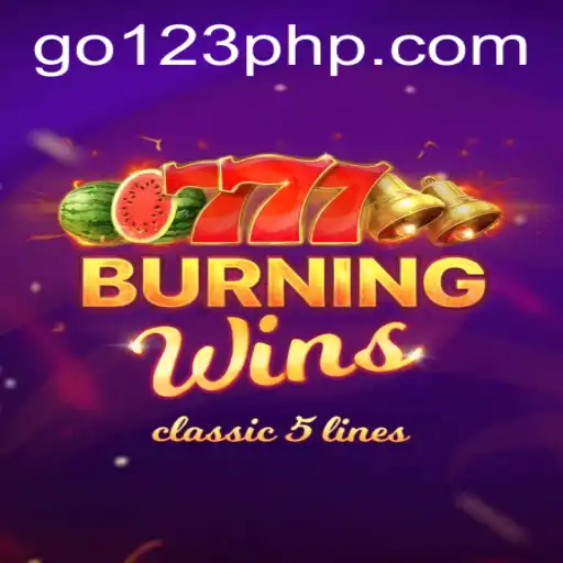 An In-Depth Look at BurningWins: The Classic Slots Experience