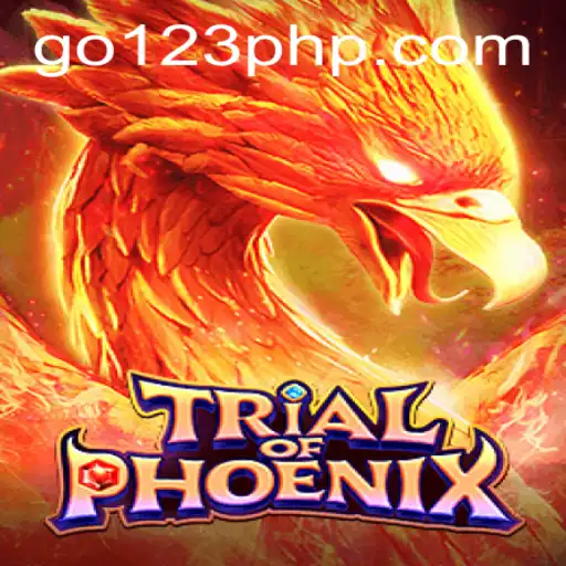 Exploring the Thrilling New Experience in 